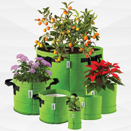whats the best size pot for living soil