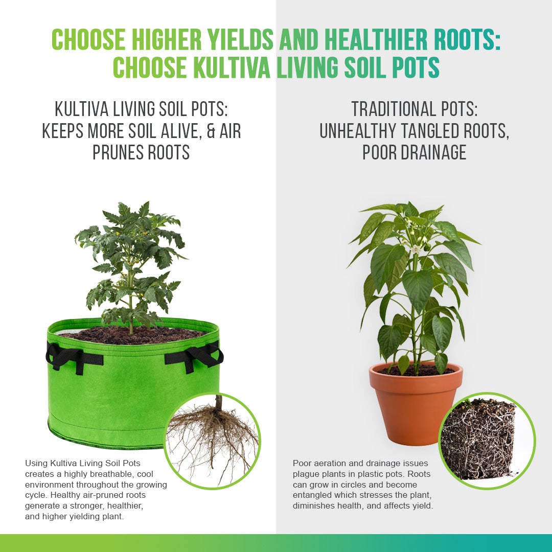 kultiva living soil pot vs standard plastic pot